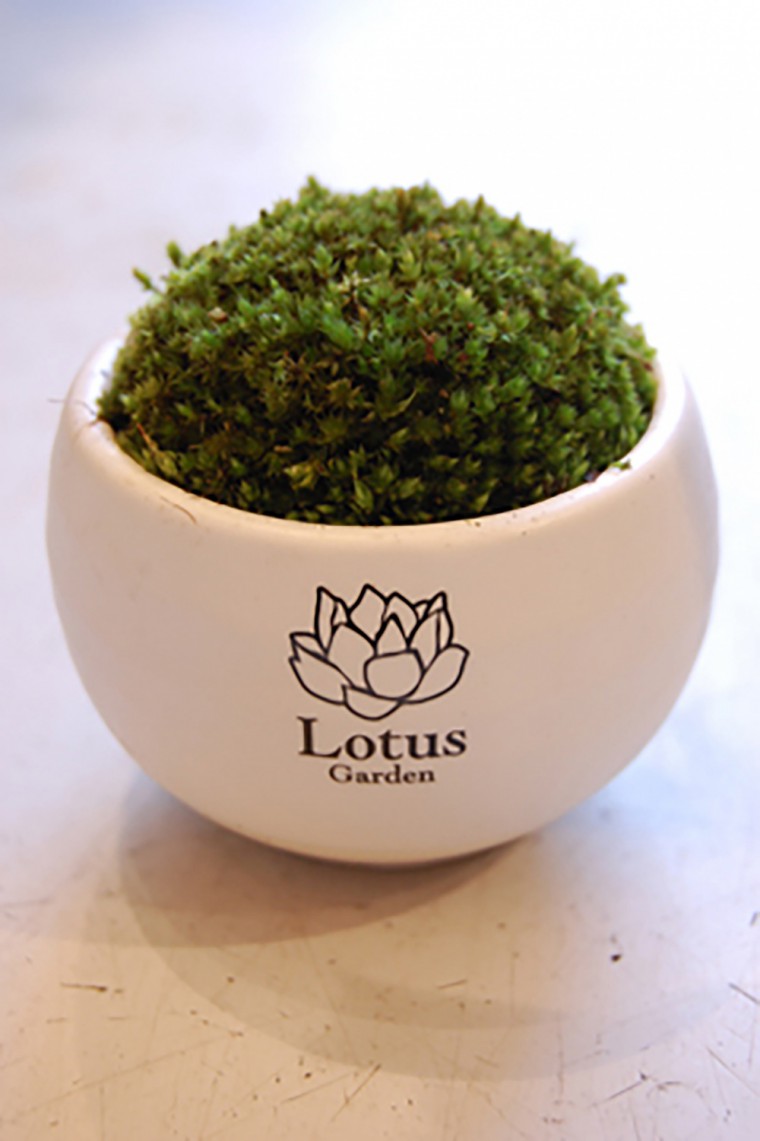 MOSS BOWL