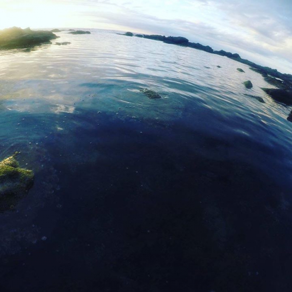 Sea#summer #sea