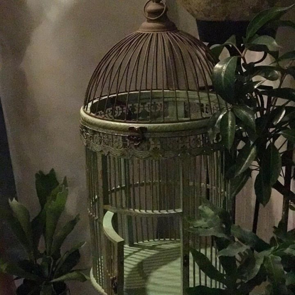 鳥籠