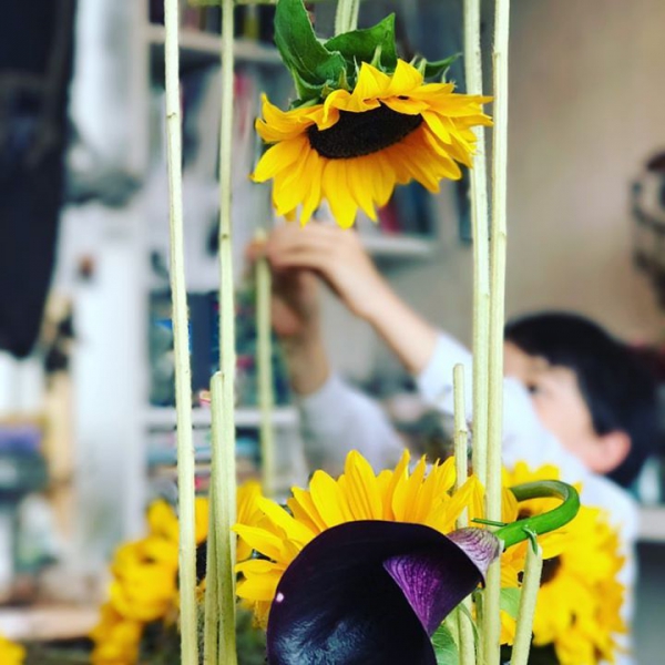 Kids カリキュラム lesson.#インテリアプランツ #植物つるしたい #キッズ #ひまわり #夏を先取り