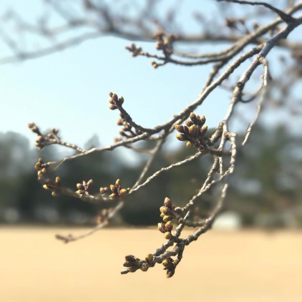 皆さん、旅立ちの時、新しい世界へ。