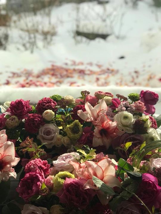 冬だから花が恋しい。