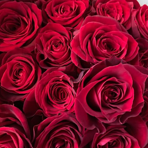 RED #red #赤