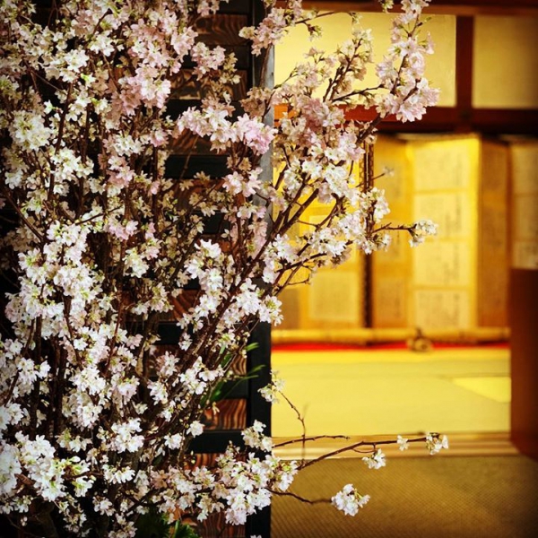 歴史的建造物と桜