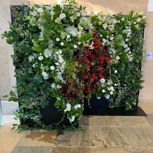 リメークのフラワーウォール #florist #followme #fowerwall #lotusgarden #hidekihatakeyama