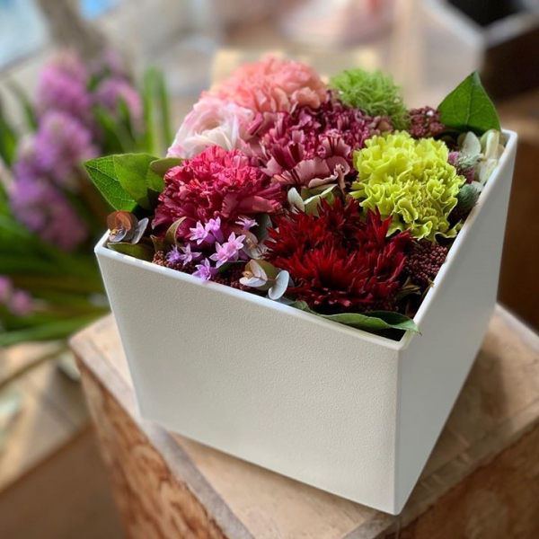 https://lotusgarden.base.ec/items/26462866
