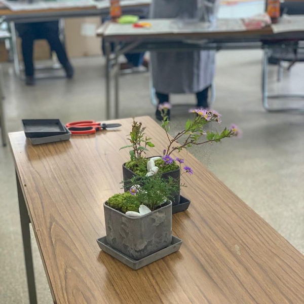 遊佐にて、和Bonsai レッスン。