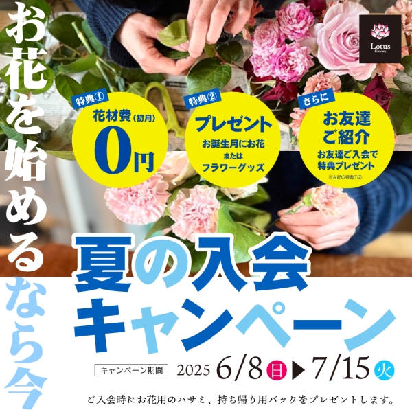 「サロンレッスン 夏の入会キャンペーン」実施中! 7月15日まで