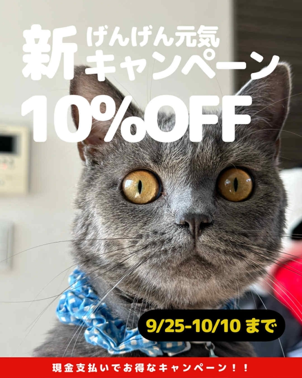 ＜終了しました＞現金払いで10％オフ！「新げんげん元気キャンペーン」 ～10月10日まで